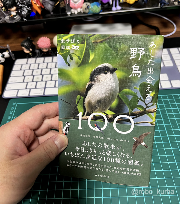 山と渓谷社「散歩道の図鑑 あした出会える野鳥100」購入。バードウォッチングのお供にピッタリサイズで分かりやすい野鳥図鑑です。